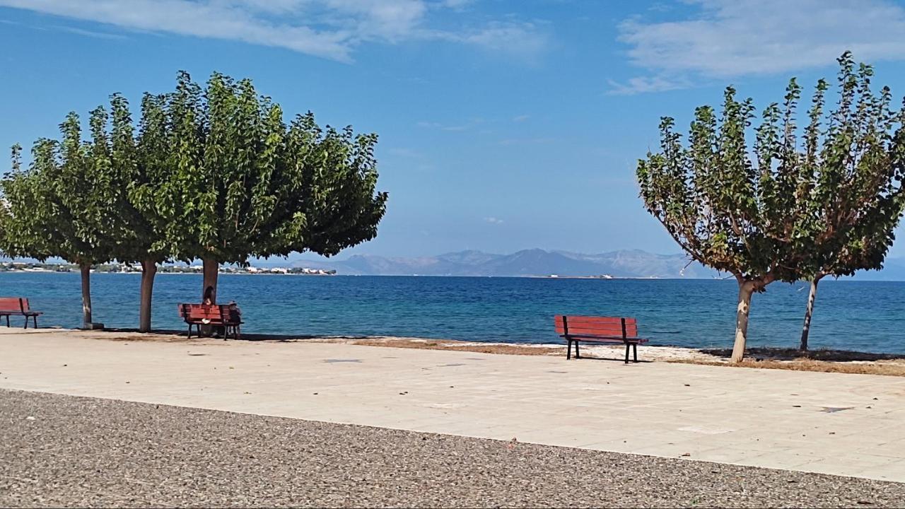 דירות ארטמידה Beautiful Choice - Near Athens Airport - 50M From The Sea - Iq+ מראה חיצוני תמונה