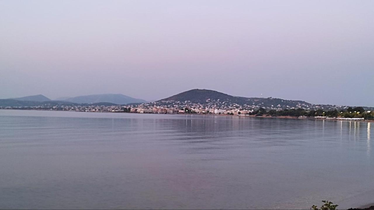 דירות ארטמידה Beautiful Choice - Near Athens Airport - 50M From The Sea - Iq+ מראה חיצוני תמונה