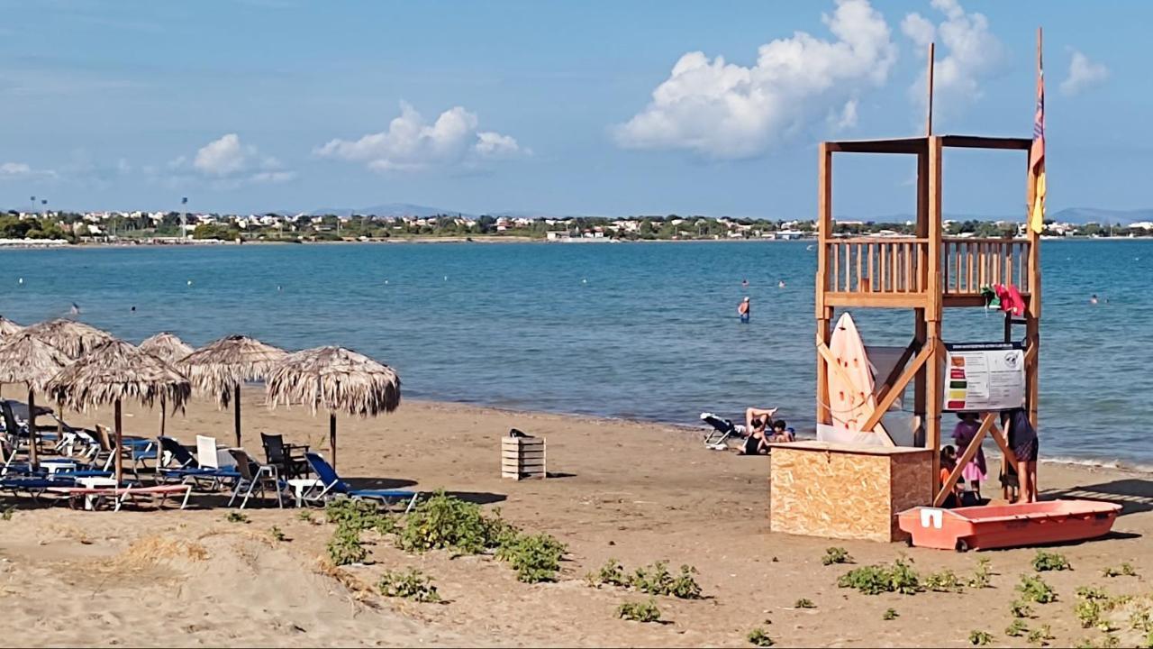 דירות ארטמידה Beautiful Choice - Near Athens Airport - 50M From The Sea - Iq+ מראה חיצוני תמונה