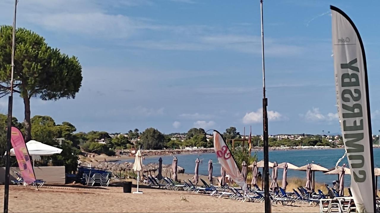 דירות ארטמידה Beautiful Choice - Near Athens Airport - 50M From The Sea - Iq+ מראה חיצוני תמונה