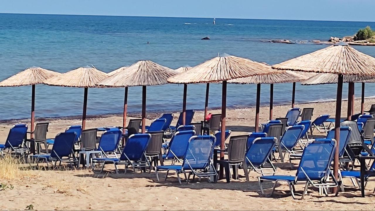 דירות ארטמידה Beautiful Choice - Near Athens Airport - 50M From The Sea - Iq+ מראה חיצוני תמונה