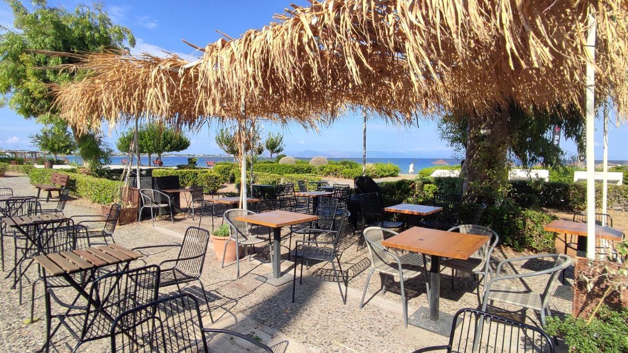 דירות ארטמידה Beautiful Choice - Near Athens Airport - 50M From The Sea - Iq+ מראה חיצוני תמונה